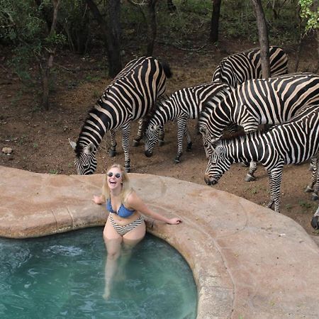 Kruger Park Hostel Marloth Park Dış mekan fotoğraf
