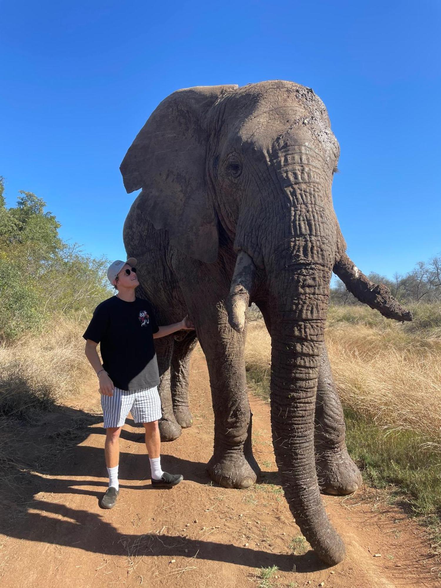 Kruger Park Hostel Marloth Park Dış mekan fotoğraf