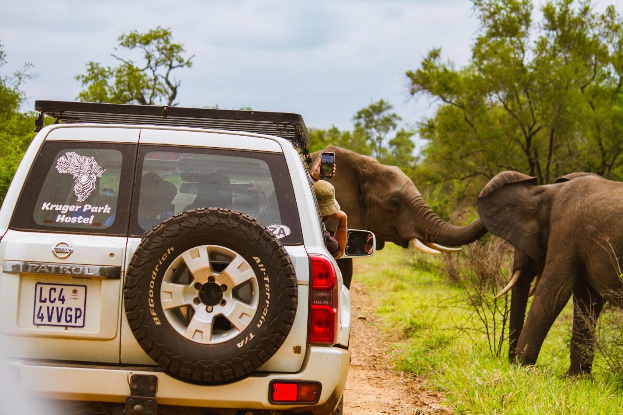 Kruger Park Hostel Marloth Park Dış mekan fotoğraf