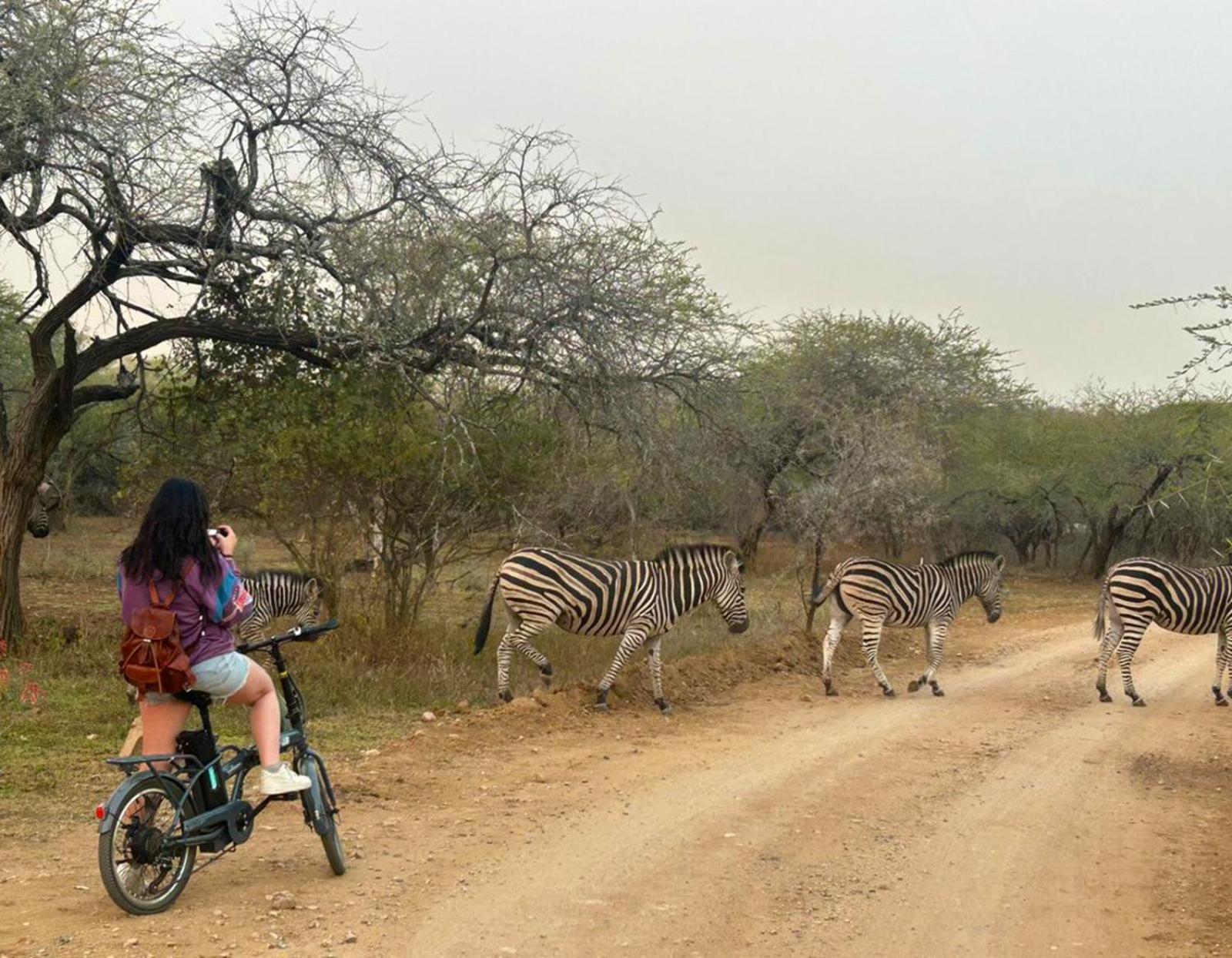 Kruger Park Hostel Marloth Park Dış mekan fotoğraf