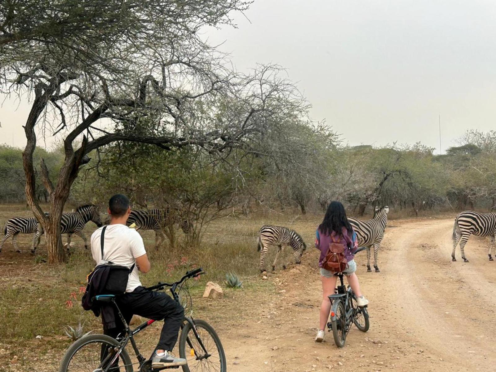 Kruger Park Hostel Marloth Park Dış mekan fotoğraf